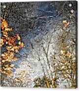 Fall Reflections Acrylic Print