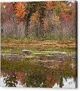 Fall Trees Reflected In Lake Chocorua Acrylic Print