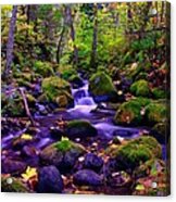 Fallen Leaves On The Rocks Acrylic Print