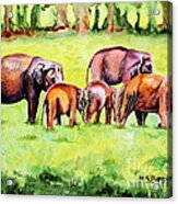 Family Of Elephants Acrylic Print