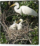 Family Time Acrylic Print