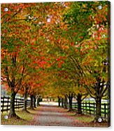 Farm Lane In Autumn Acrylic Print