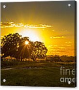 Farmland Sunset Acrylic Print