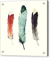 Feathers Acrylic Print