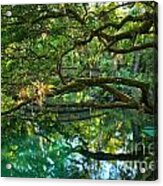 Fern Hammock Acrylic Print