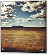 #field #country #clouds #ohio Acrylic Print