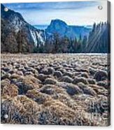 Field View Acrylic Print