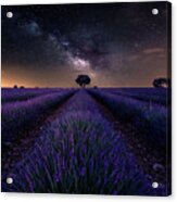 Fields Of Castilla Acrylic Print