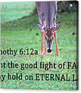 Fight Of Faith Acrylic Print