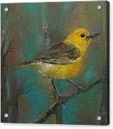 Finch Acrylic Print