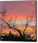 Fire In The Sky 1 Acrylic Print