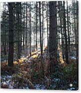 First Fall Of Snow On Cannock Chase Acrylic Print
