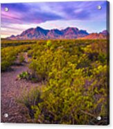 First Light On Chisos Mountains Big Bend National Park Acrylic Print