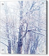 First Snow. Dreamy Wonderland Acrylic Print