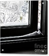 First Snow Acrylic Print