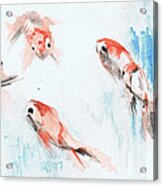 Five Goldfish Acrylic Print
