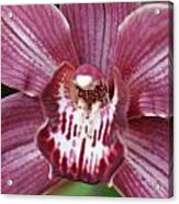 Five Leaf Orchid Acrylic Print