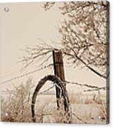 Fixing Fence Acrylic Print