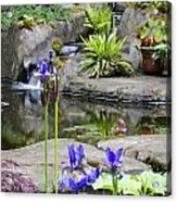 Flags In Bloom Acrylic Print