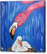 Flamingo An Expression Of Love Acrylic Print