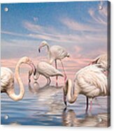 Flamingo Lagoon Acrylic Print