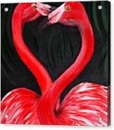 Love  Is... Flamingo Love. Inspirations Collection Acrylic Print