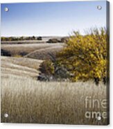 Flint Hills Autumn 013 Acrylic Print