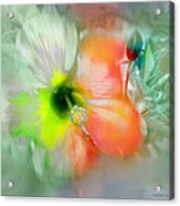 Flor De Ayamonte Acrylic Print