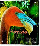 Florida Flamingo Acrylic Print