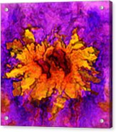 Floro - 45b Acrylic Print