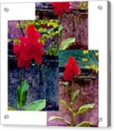 Flower Gardens C Acrylic Print