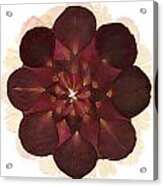 Flower Mandala 8 Acrylic Print