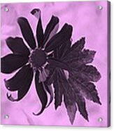Flowerleaf Neg Pink Acrylic Print