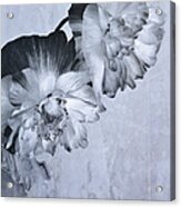 Flowers And Haiku Acrylic Print