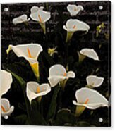 Flowers Of Ireland Acrylic Print