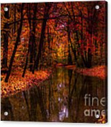 Flowing Through The Colors Of Fall Acrylic Print
