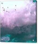 Fluffy Flight Acrylic Print