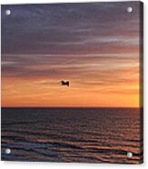 Fly-by Acrylic Print