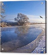 Flying Free On A Winter's Day Acrylic Print
