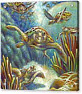 Flying Loggerhead Turtles Acrylic Print