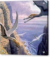 Flying Pterosaurs Acrylic Print