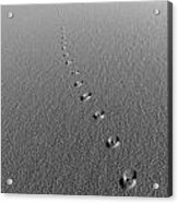 Footprints Acrylic Print