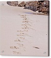 Footprints In The Sand Acrylic Print