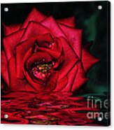 For Lovers Of Rich Red... Acrylic Print