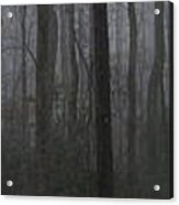 Forest Fog Panorama Acrylic Print