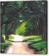 Forest Full Of Trees Acrylic Print
