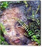 Forest Nymph Acrylic Print