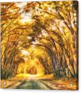Forest Road Acrylic Print