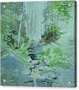 Forest Stream Acrylic Print
