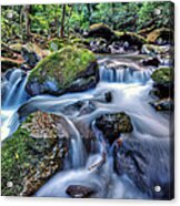 Forest Waterfall Acrylic Print